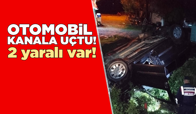 Köpeğe çarpan otomobil kanala uçtu: 2 yaralı