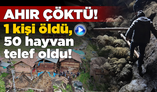 Ahır çöktü: 1 kişi öldü, en az 50 hayvan telef oldu!