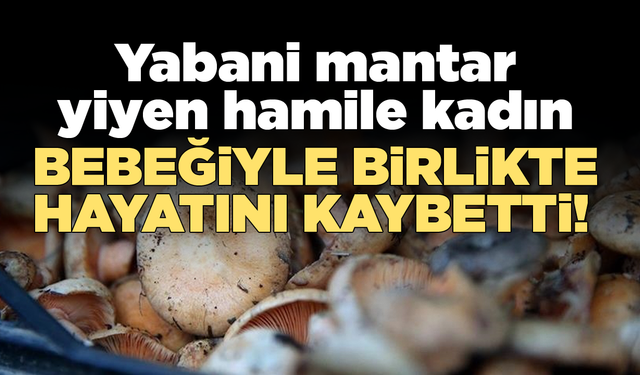 Yabani mantar yiyen hamile kadın ile bebeği öldü