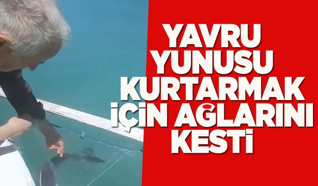 Sinoplu balıkçıdan örnek davranış