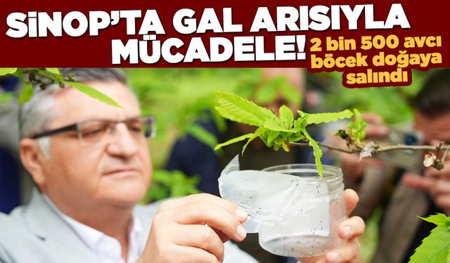 Sinop'ta 2 bin 500 avcı böcek doğaya salındı
