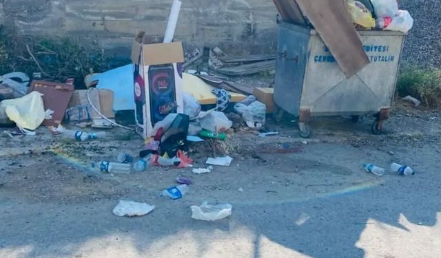 Sinop'ta çöp birikintisi tepki çekti