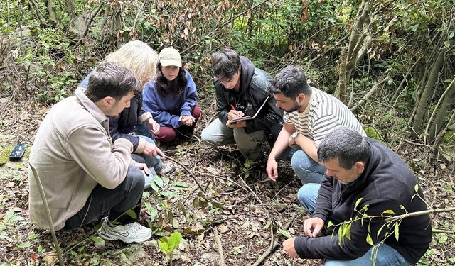 Sinop da projede: Bozayıların izinde 4 ilde kritik araştırma