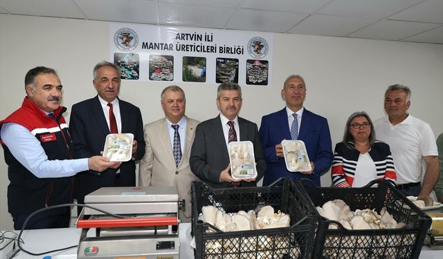 Atıl durumdakü tünel mantar üretim merkezi oldu