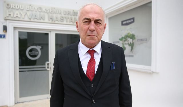 Ordu'da 7 yılda 25 bin sahipsiz hayvan tedavi edildi