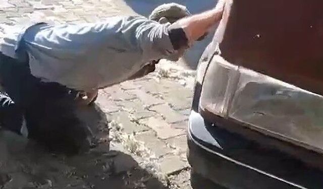 Aracın motoruna giren yılanı ekipler yakaladı