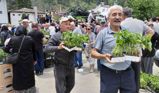 Bolu'da ücretsiz fide dağıtımı