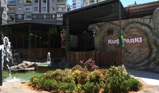 Kuş parkı ilgi çekiyor