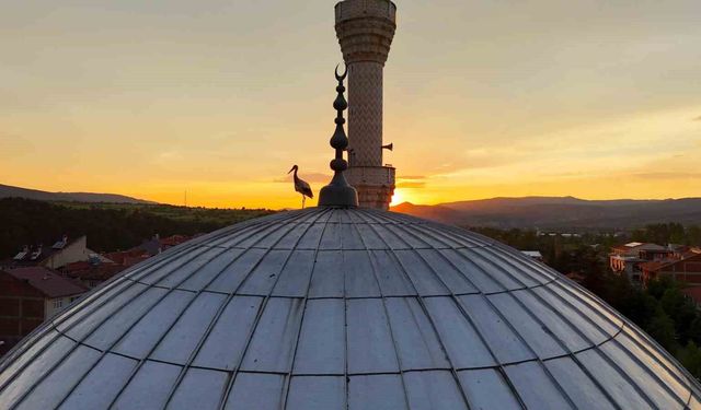 Leylekler gün batımını cami kubbesinde karşıladı