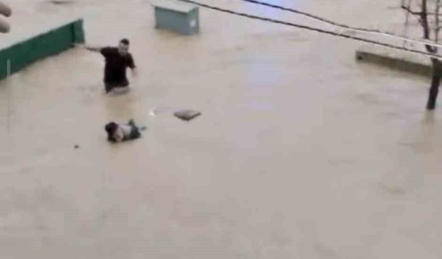Sel sularına kapılan adamı son anda kurtardılar