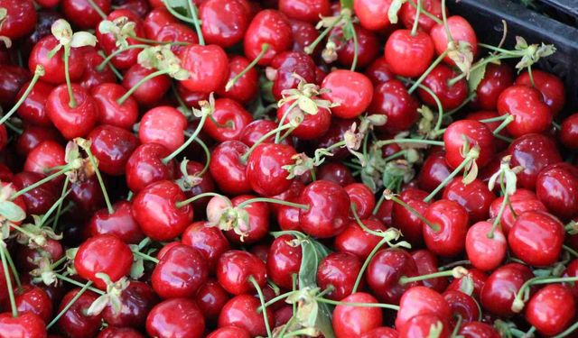 Tezgahlara inen kiraz fiyatıyla memnun ediyor