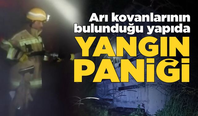 Arı kovanlarını alevler sardı, ekipler teyakkuza geçti