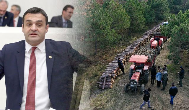 Milletvekili Karadeniz: "Orman köylüsünün feryadını duyun!”