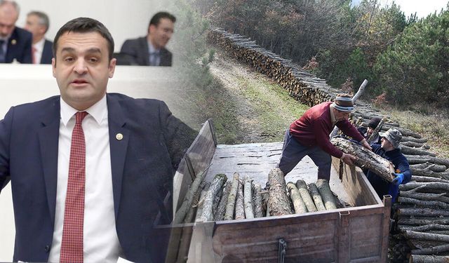 CHP’li Karadeniz’den orman köylülerinin geciken ödemelerine tepki