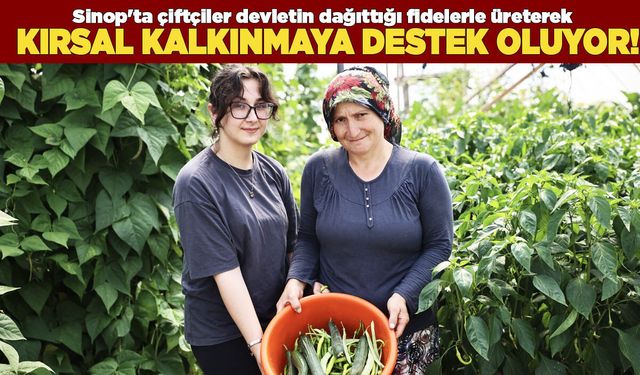 Sinop'ta tarımsal üretime devlet desteği