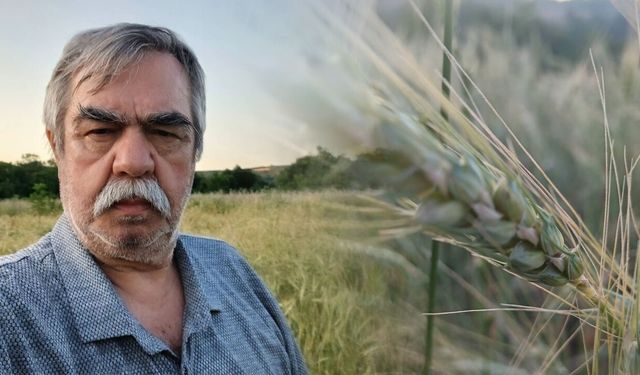 Prof. Dr. Emin Kuru: “Türkiye ekmeklik hububat politikasını değiştirmelidir!”