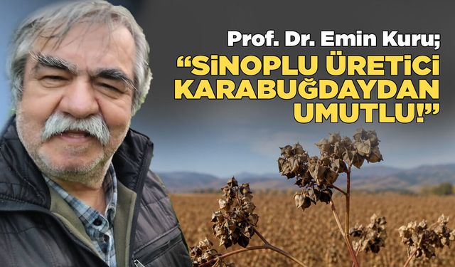 Sinop’ta karabuğday tarımı bölgesel dönüşüme katkı sağlayacak!