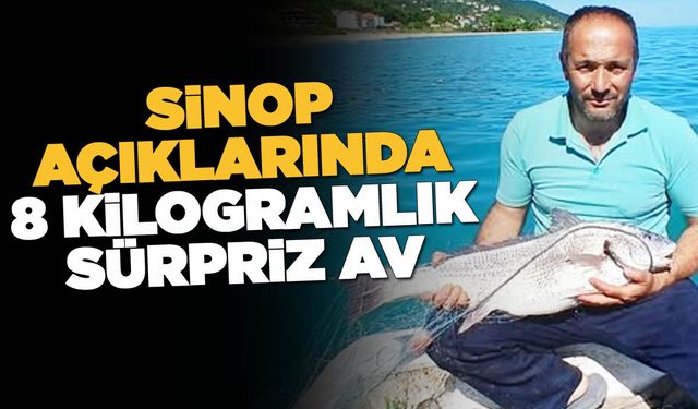 Sinop'ta nadir görülen kötek balığı avlandı