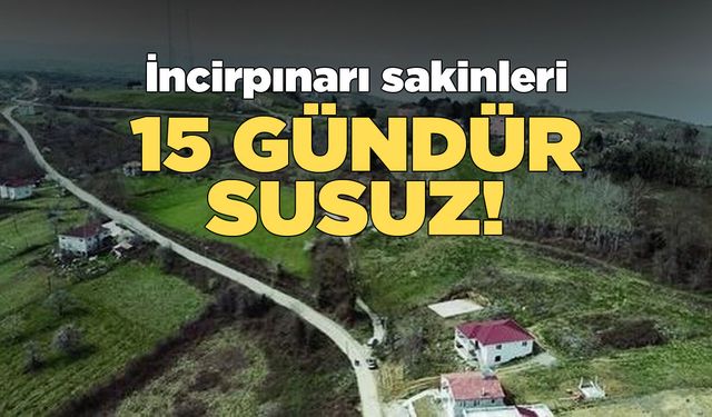 İncirpınarı köyünde 15 gündür sular akmıyor!