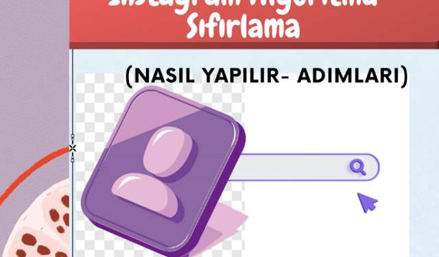 Instagram Algoritma Sıfırlama (Nasıl Yapılır- Adımları)