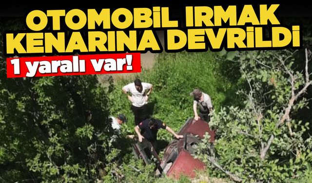 Otomobil ırmak kenarına devrildi: 1 yaralı