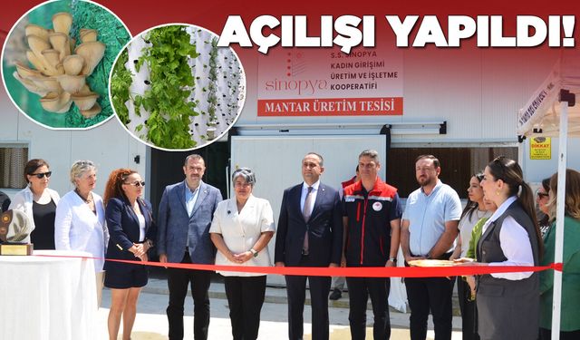 Sinopya Kadın Kooperatifinden tarım ve üretim hamlesi