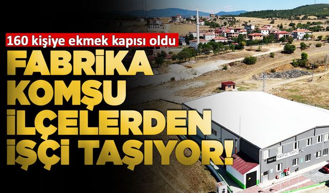 Sinop'ta herkes iş ararken onlar işçi bulamıyor!