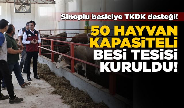 Sinoplu besici devlet desteğiyle kapasitesini artırdı