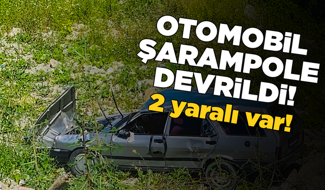 Otomobilin şarampole devrilmesi sonucu 2 kişi yaralandı