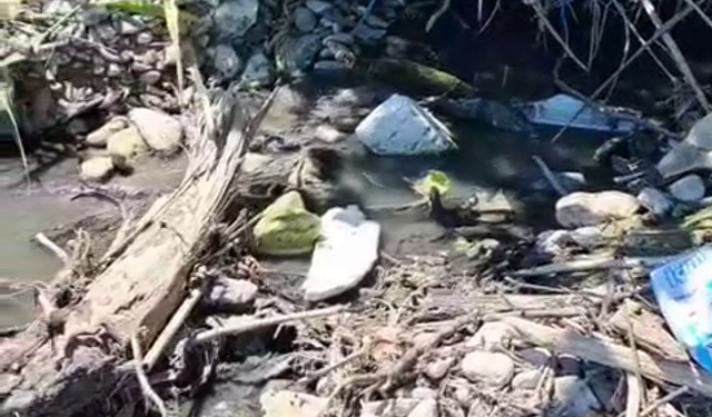 Korucuk Sahilinde lağım krizine çözüm bekleniyor
