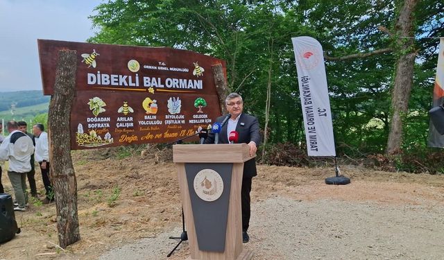 Sinop’ta Bal Ormanı hizmete açıldı
