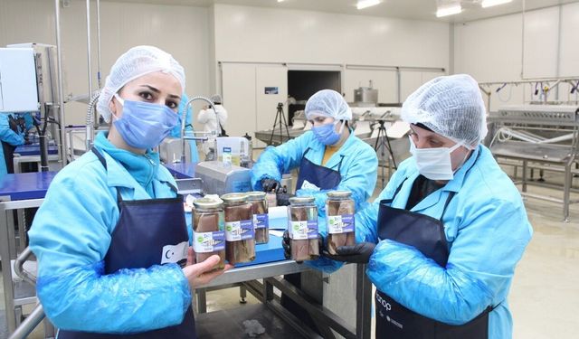 Sinop Lakerdası markalaşıyor: KUZKA destekli proje başladı