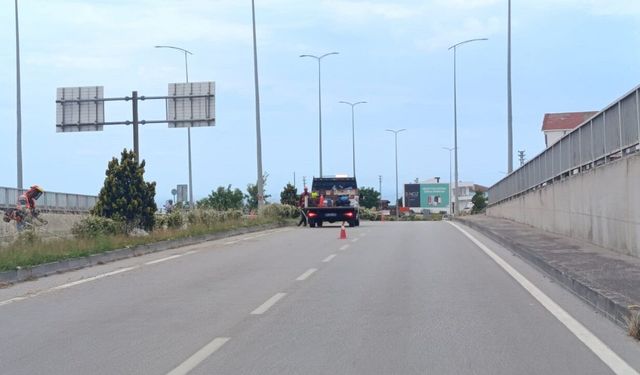 Sinop-Samsun yolunda ot temizliği çalışması başlatıldı