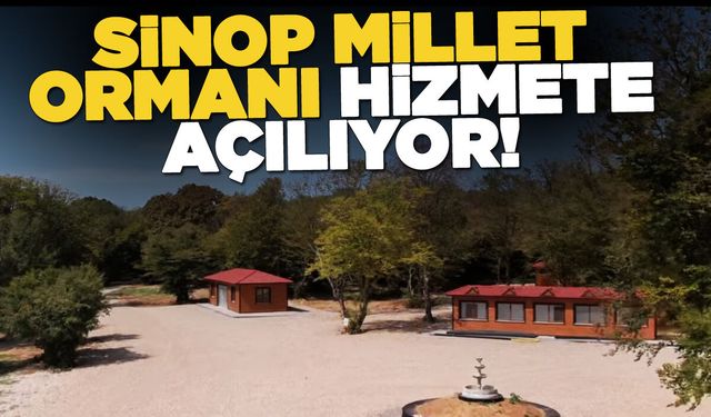 Sinop Millet Ormanı vatandaşın hizmetine açılıyor