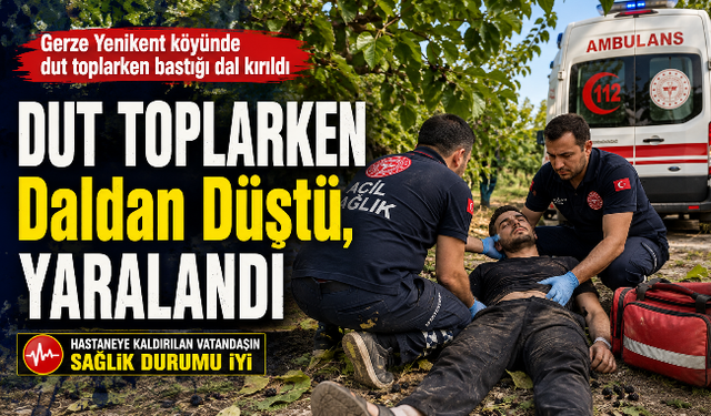 Dut Toplama Kazası: Genç Adam Yaralandı