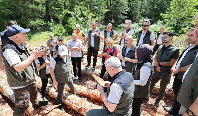 Sinop'ta orman zararlılarına karşı eğitim ve tatbikat yapıldı