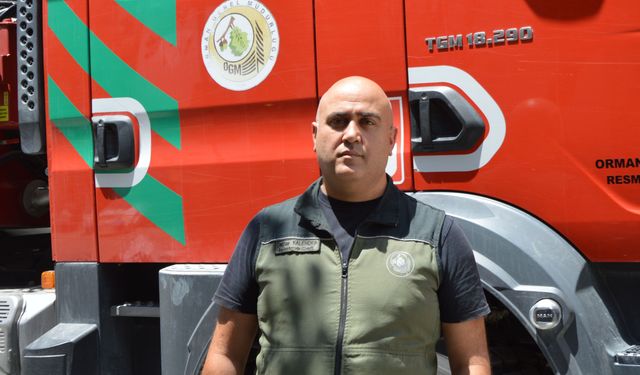 Havza'da ormanlık alanlara girişler kısıtlandı