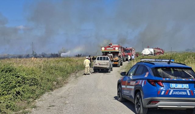 Sazlık alanda çıkan yangında 20 dönüm alan zarar gördü