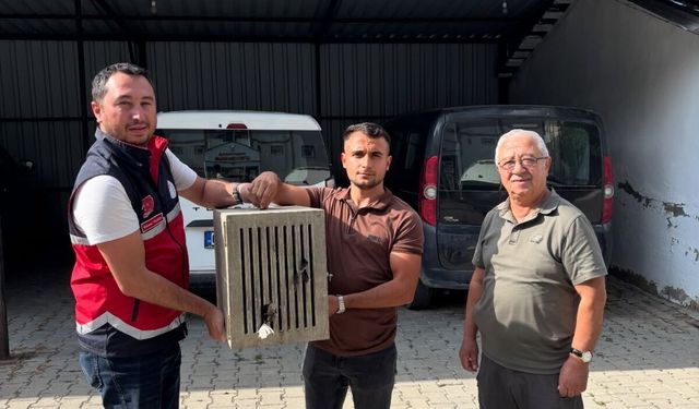 Yaralı leylek güvenli ellerde