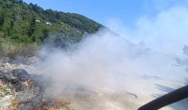 Çöplük alanda yangın çıktı