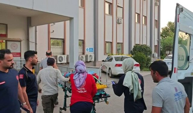 Devrilen kamyonetteki 6 kişi yaralandı