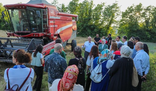 İlk kez yetişen siyez buğdayının hasadı yapıldı