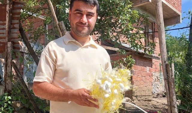 İpek böceği üreticisi 1 dönüm araziden 130 bin lira gelir elde ediyor