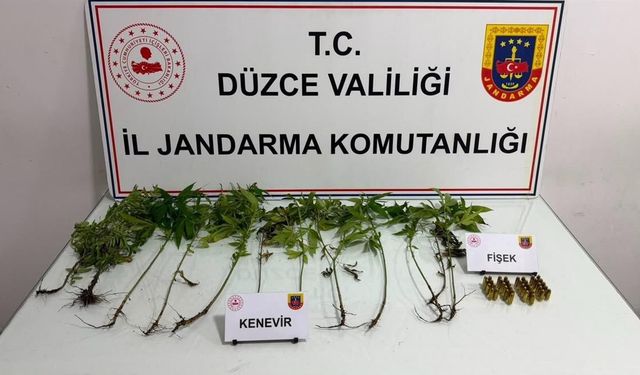 Jandarmadan yasaklı madde operasyonu
