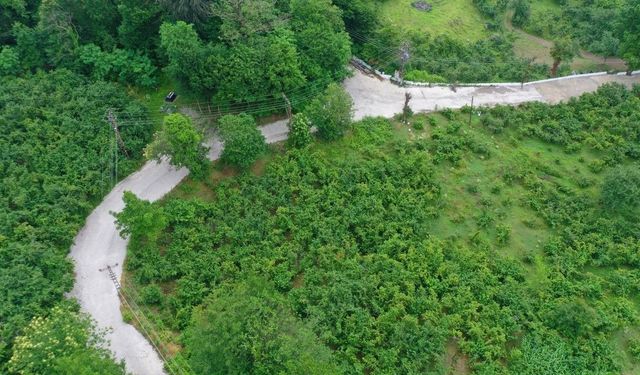 Ordu'da beton yol çalışmaları sürüyor