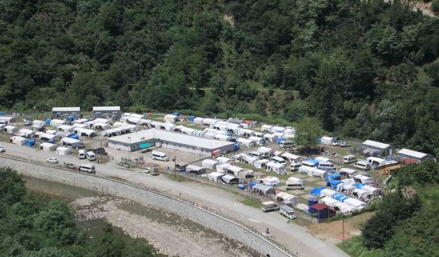 Ordu'da fındık hasadı başladı