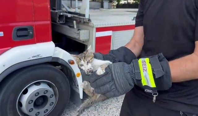 Saatlerce ağaçta bekledi