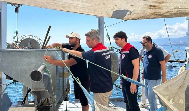 Sinop'ta su ürünleri üretimine sıkı denetim