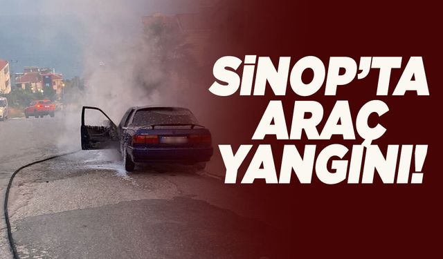 Sinop'ta otomobil alevlere teslim oldu