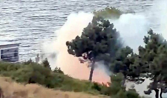 Sinop Karakum yolunda yangın!